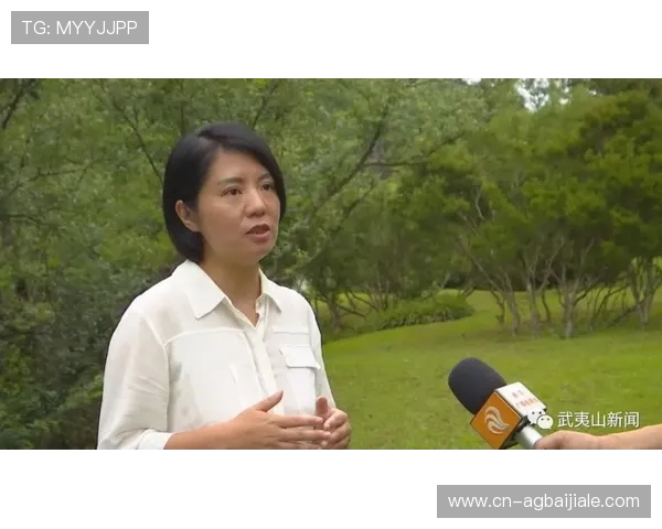 4008云顶网站登录遇到困难怎么办？实用技巧与常见问题解答