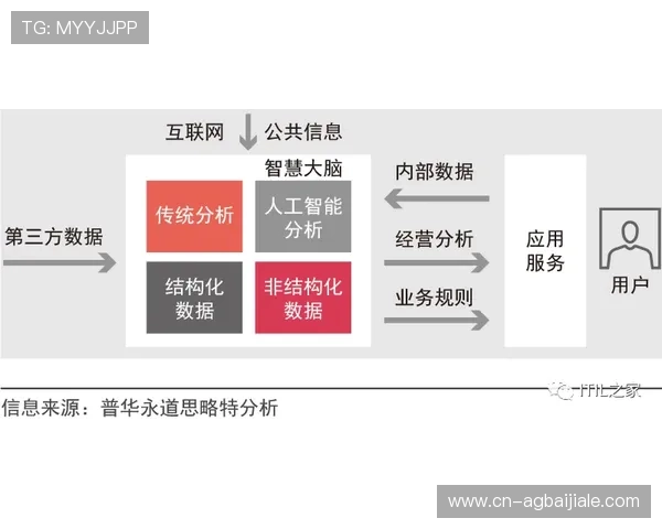 云顶集团进入官网的多平台访问方式与操作指南详解
