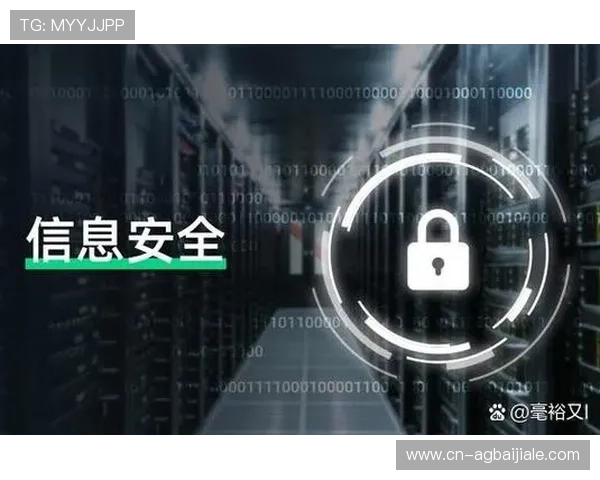 如何在真人电子app注册账号确保信息安全与顺利登录